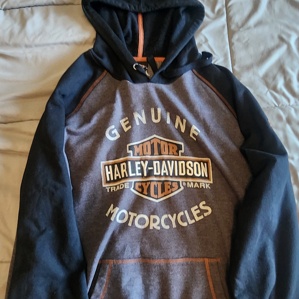 Authentic Harley-Davidson Men's Black and Gray Hoodie
